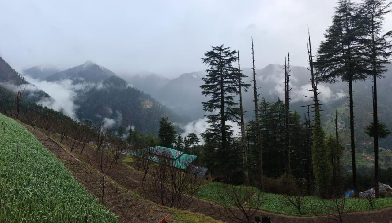 Villa Deep In Woods Jibhi Exterior foto
