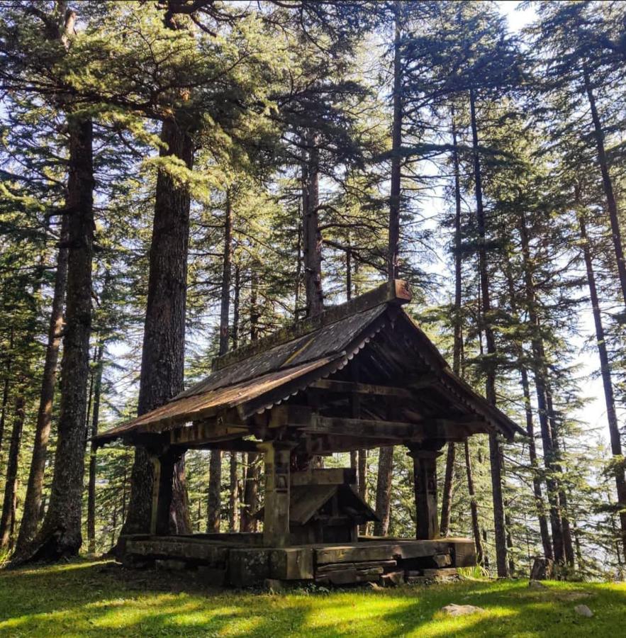Villa Deep In Woods Jibhi Exterior foto