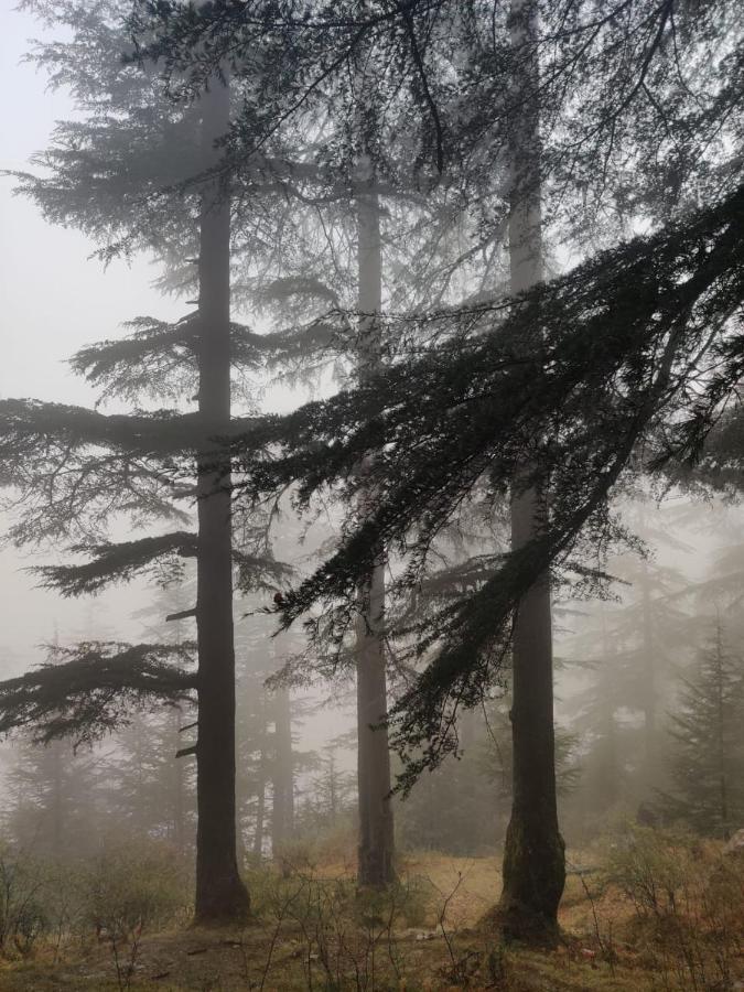 Villa Deep In Woods Jibhi Exterior foto