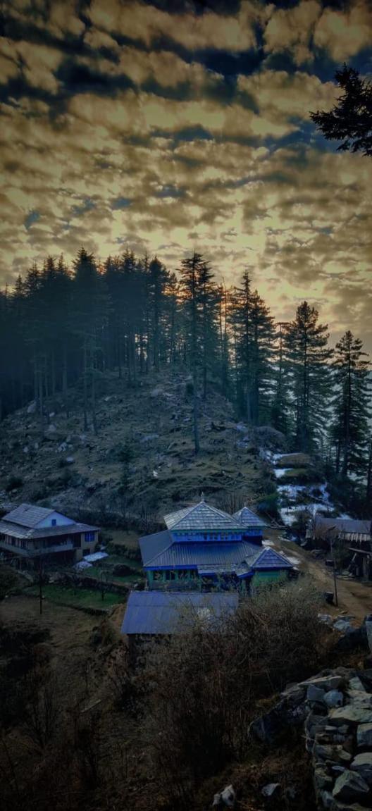 Villa Deep In Woods Jibhi Exterior foto